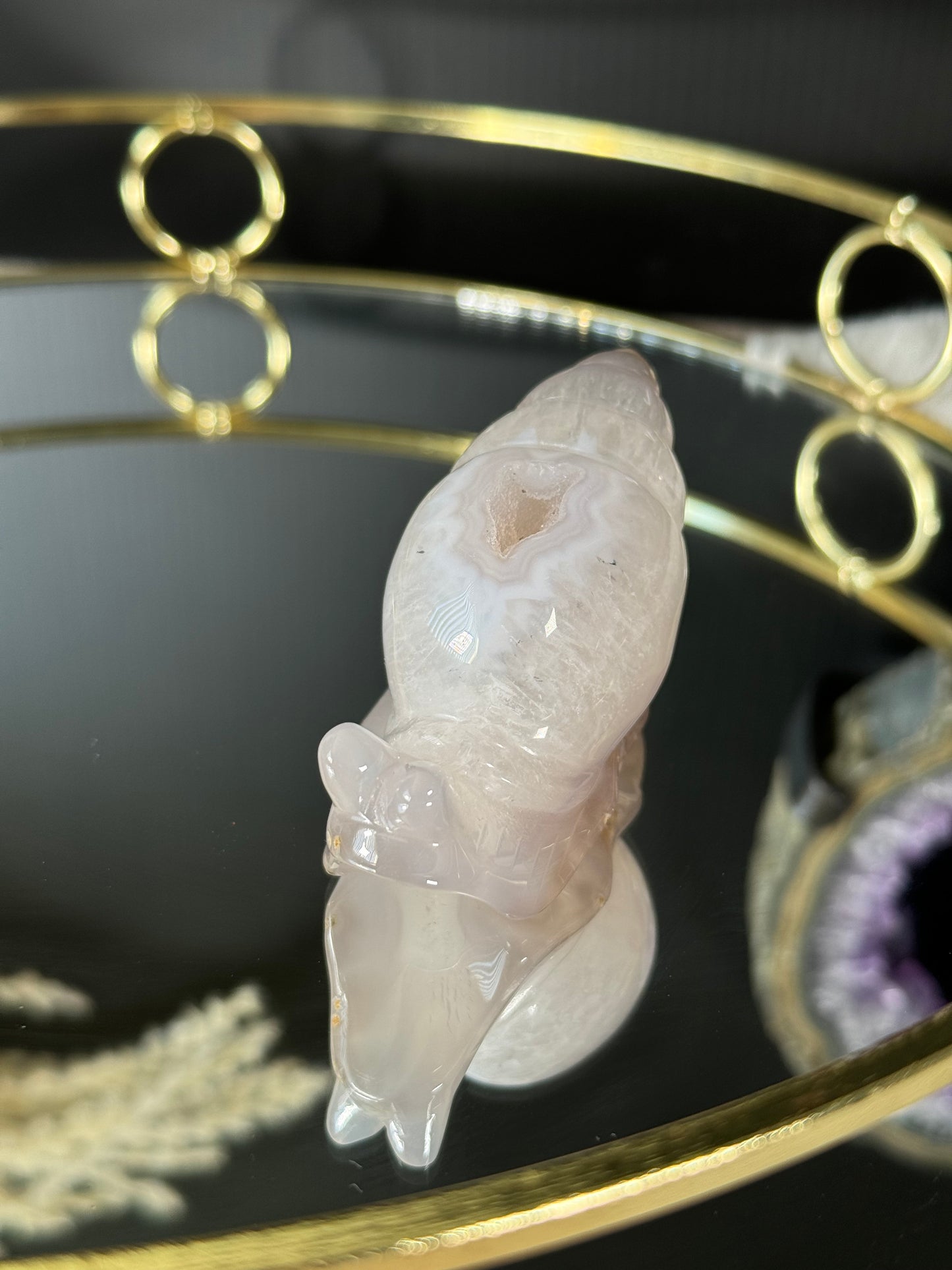 Druzy Agate Snail