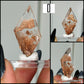 Durango Selenite