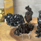 Goethite Cast after Selenite