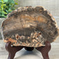 Petrified Wood Slab with Stand