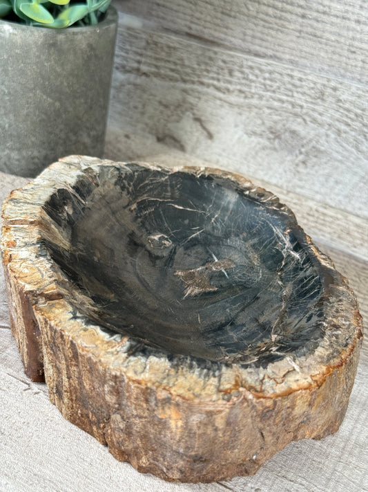 Petrified Wood Bowl