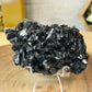 Goethite Cast after Selenite
