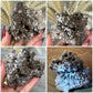 Dog Tooth Calcite Specimen