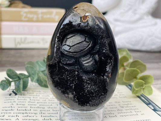 Septarian Egg | Turtle (S2)