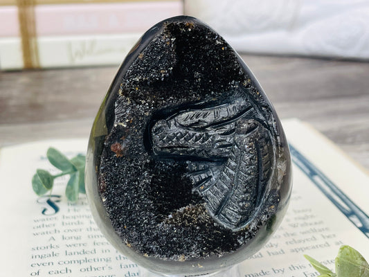 Septarian Egg | Dragon