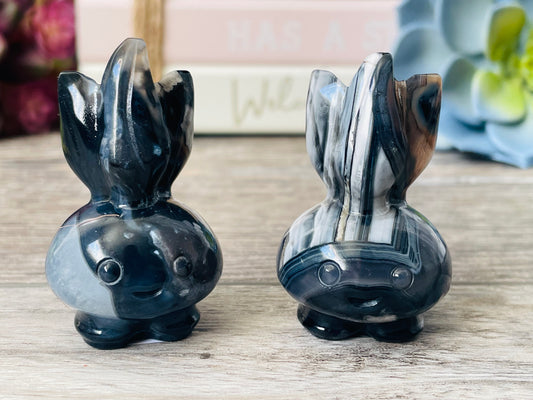 Black Flower Agate Oddish